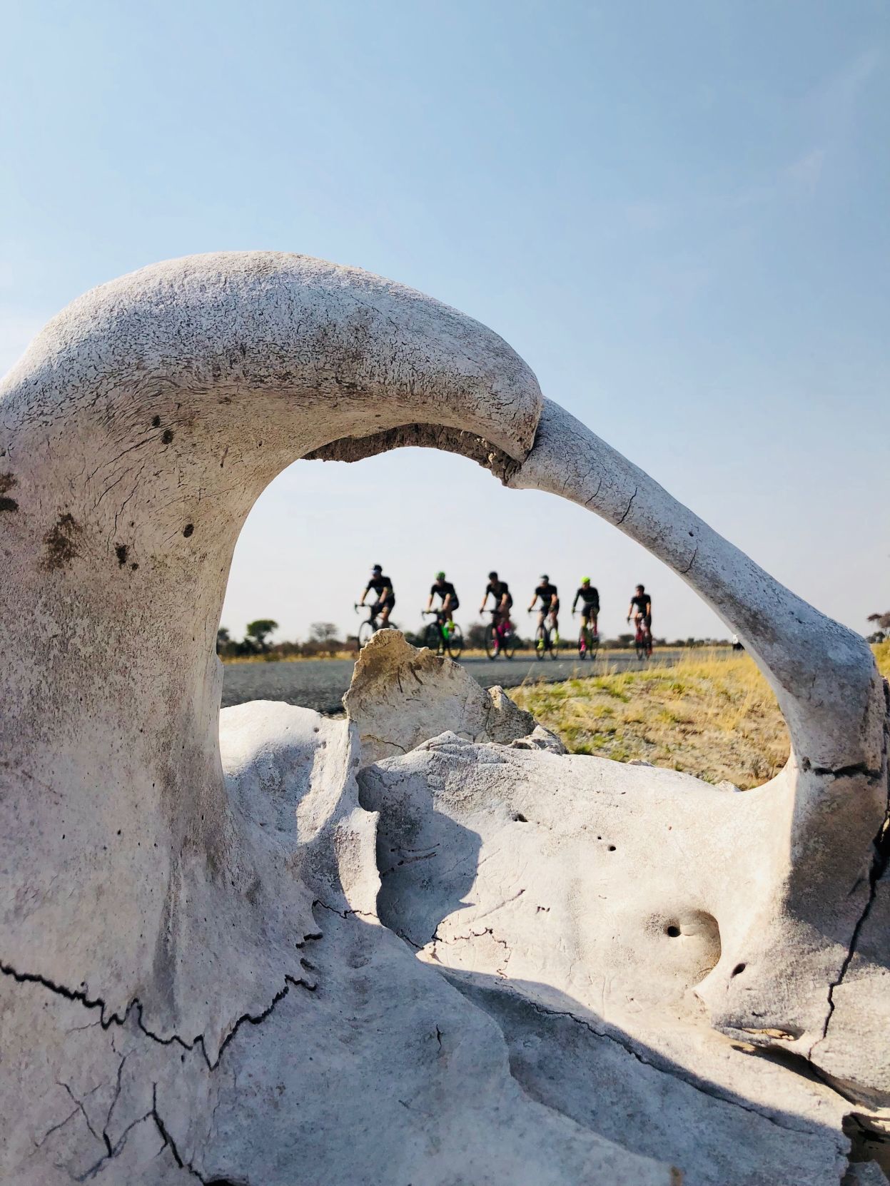Hope Ride bones